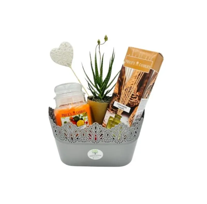 Products-with-out-back-ground-1-e1709197377453-800x788.webp