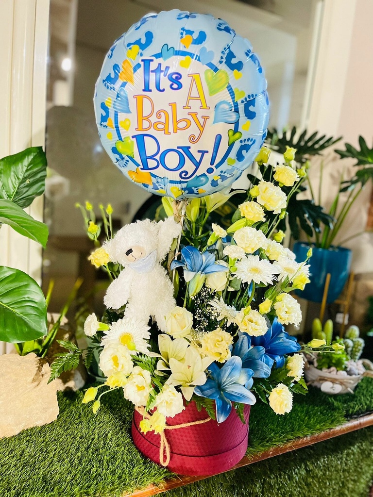 Welcome baby boy