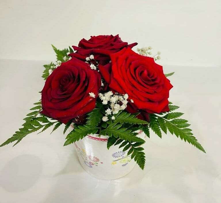 3 Roses in a Ceramic Pot