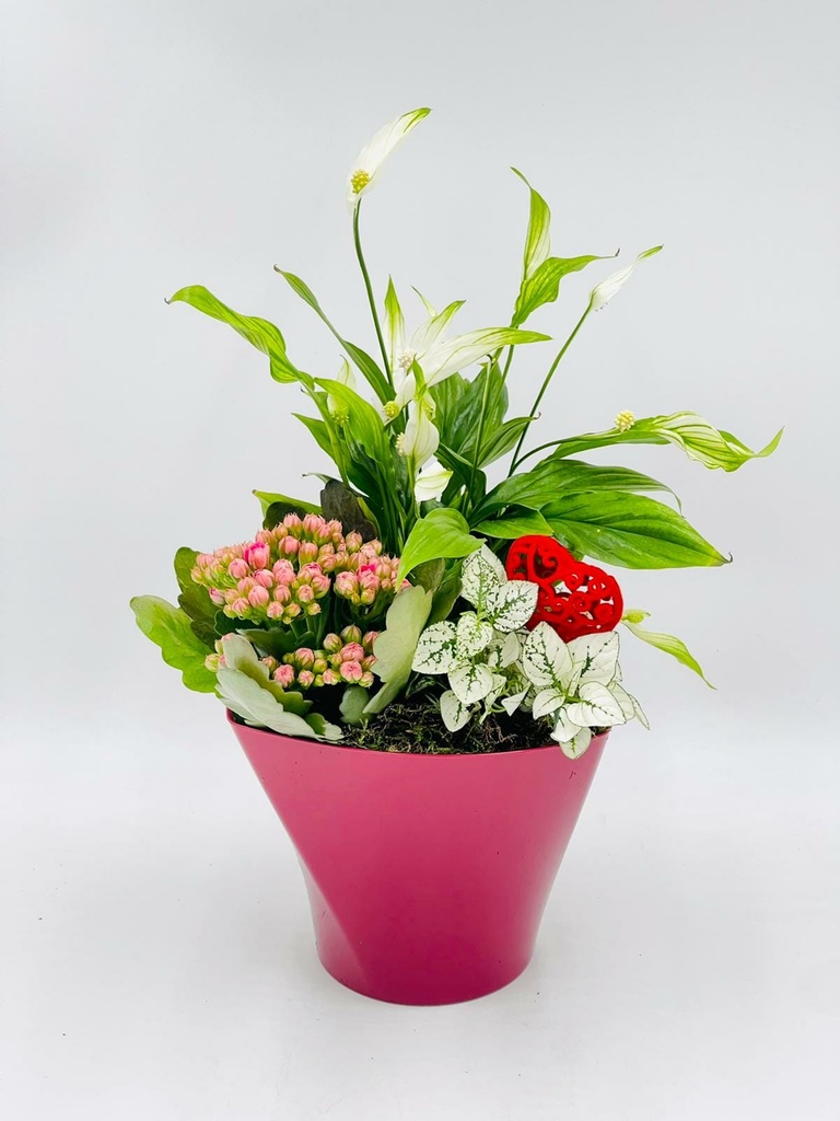 Planted Bowl